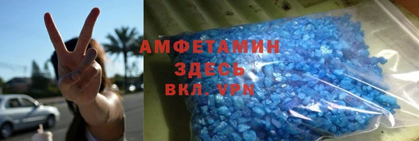 мет Алексин