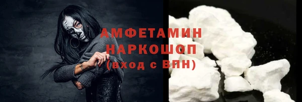 мет Алексин
